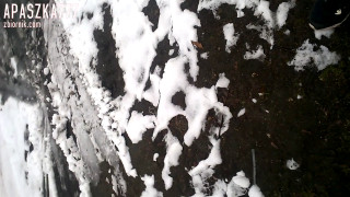 WP_20160302_001.mp4