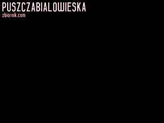Nagranie z kamerki w dziale "Na Żywo".