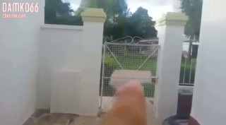 damko66