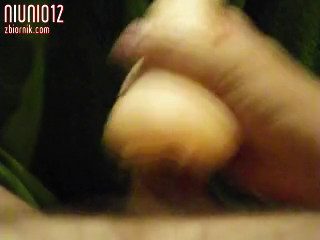 niunio12