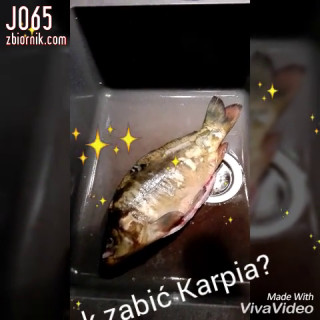 Jo65
