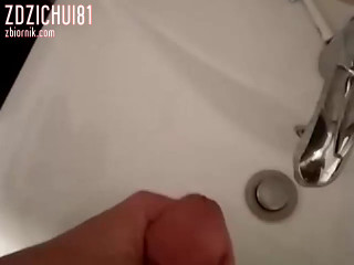 zdzichui81