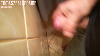 tomaszfalsename