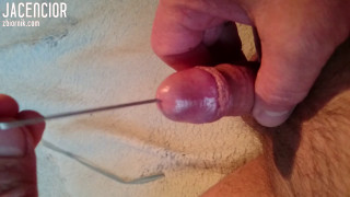MOV_1366.mp4