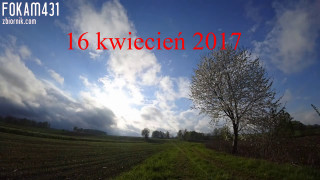 111.mp4