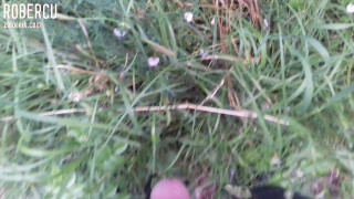 20170608_051439.mp4
