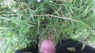 20170608_051439.mp4