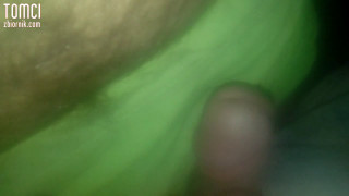 Tomci