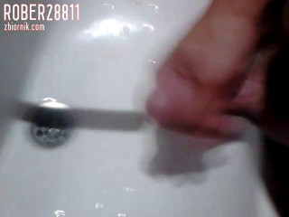 Rober28811