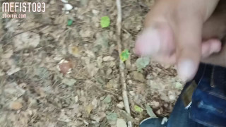 Mefisto83