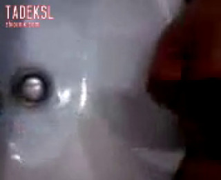 tadeksl