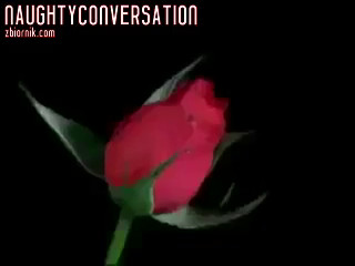 NaughtyConversation