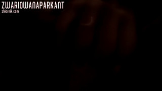 ZwariowanaParkaNT