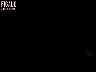 Figalo