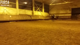 20170131_170956.mp4