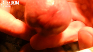 DSCN1296.MOV