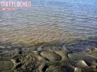 VID-20180201-WA0003.mp4