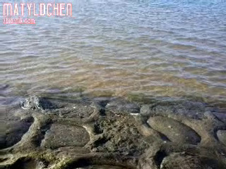VID-20180201-WA0003.mp4