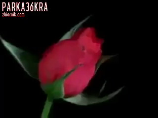 VID-20180208-WA0011.mp4