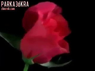 VID-20180208-WA0011.mp4