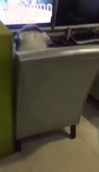 VID-20180416-WA0000.mp4