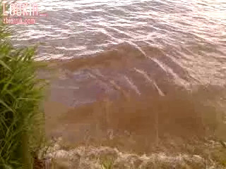 plaża 2018 05 14 (2).mp4