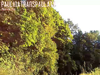 Chat.c4.zbiornik.com