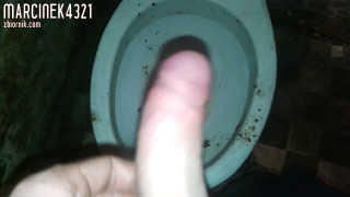 20161220_210906.mp4