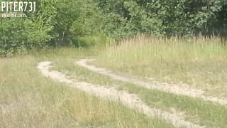 VID_20180705_105159.mp4