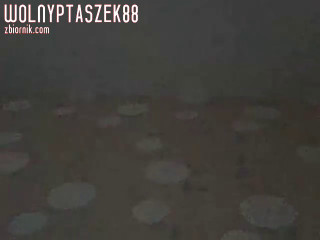 Chat.c3.zbiornik.com