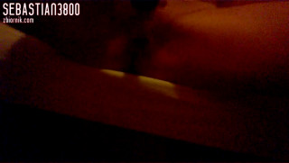sebastian3800