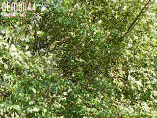 DSCF7285.AVI