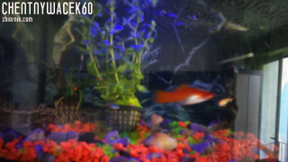 chentnyWacek60