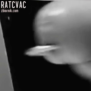 InShot_20181009_174041863.mp4