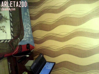 VID_20180923_030333.3gp