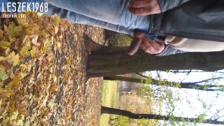 VID_20181025_141958.mp4