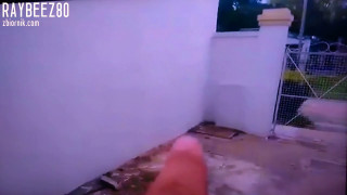 VID_20181101_043154.mp4