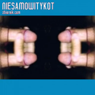 NIESAMOWITYKOT