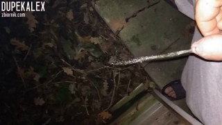 VID_20181110_183747.mp4