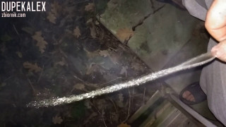 VID_20181110_183747.mp4