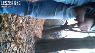 TRIM_20181115_033522.mp4