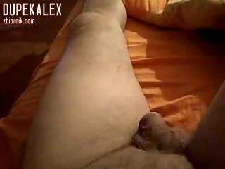 Chat.c4.zbiornik.com