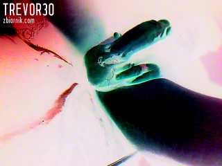 treVor3o