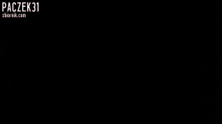 Paczek31