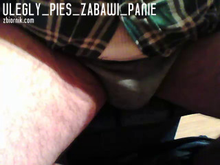 ulegly_pies_zabawi_Panie
