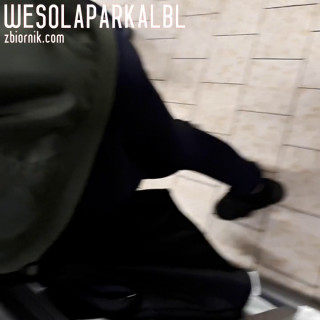 wesolaparkalbl
