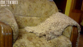 VID_20190607_220803.mp4