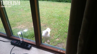 20190605_083227.mp4