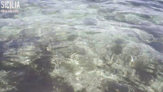 20190617_141355.mp4