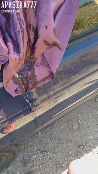 20190627_145339.mp4